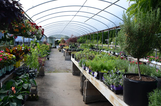 Garden Center «Schott Gardens», reviews and photos, 2209 Nashville Rd, Bowling Green, KY 42101, USA
