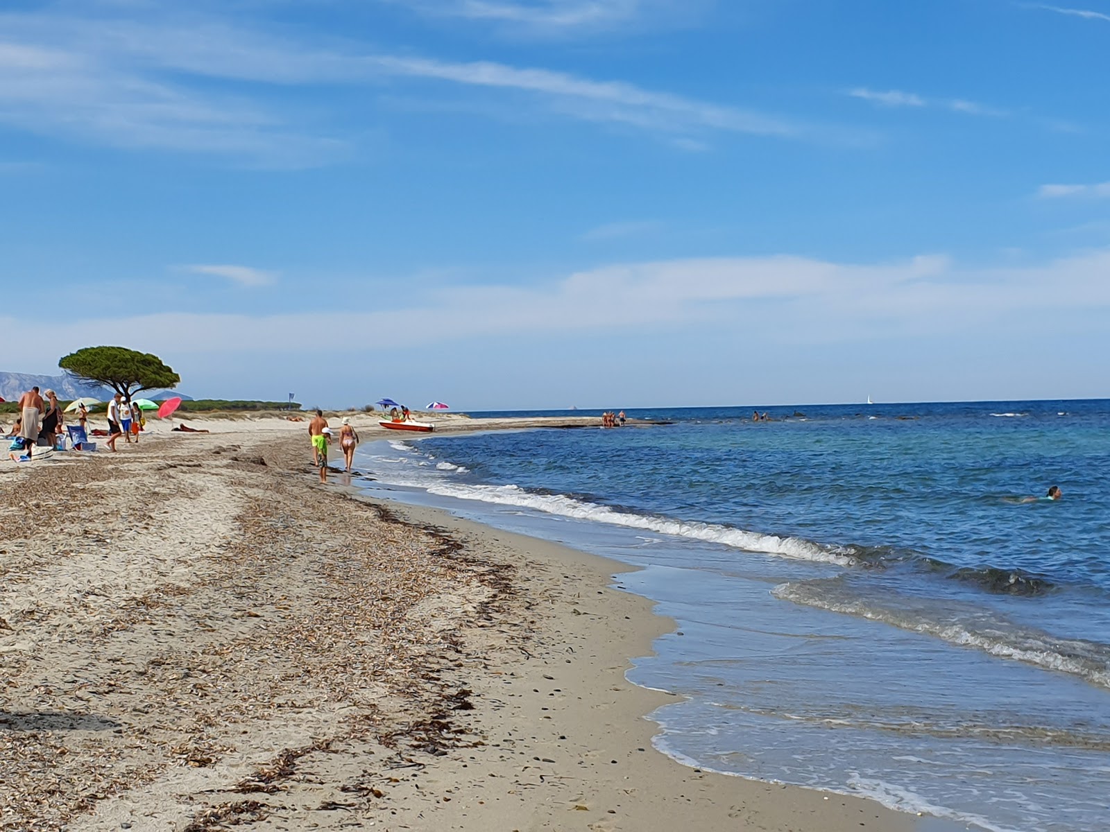 Foto van Spiaggia per Cani met turquoise puur water oppervlakte
