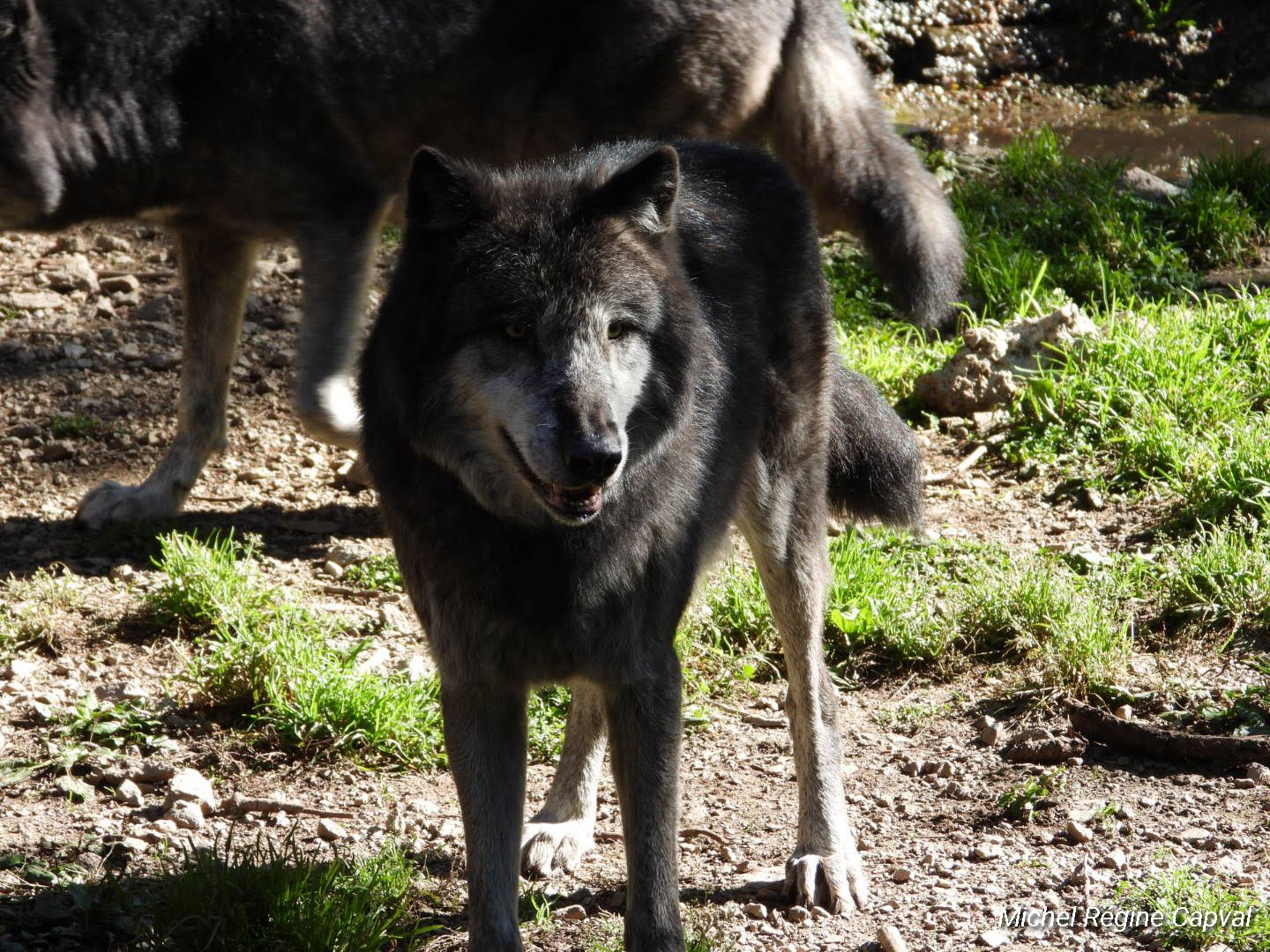 Photo n° 17 de l'avis de michel.a fait le 03/10/2019 à 13:25