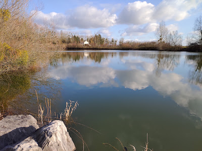 Étang De Longecourt-en-plaine à Longecourt-en-Plaine