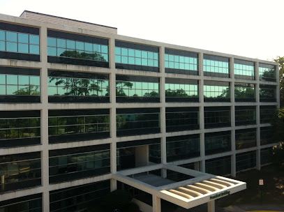 Commercial Window Film Solutions