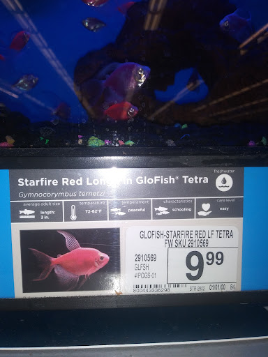 Pet Supply Store «Petco Animal Supplies», reviews and photos, 28400 Dequindre Rd, Warren, MI 48092, USA