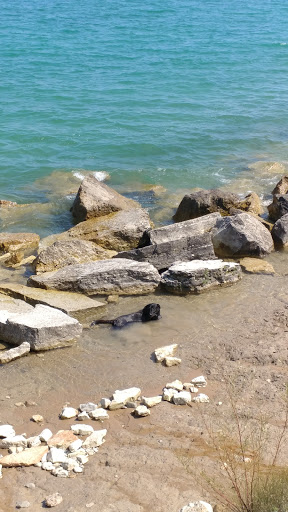 Nature Preserve «Kenosha Sand Dunes», reviews and photos, 7th Ave, Pleasant Prairie, WI 53158, USA