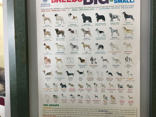 Pet Store «Petland Vineyard - San Antonio», reviews and photos, 1309 North Loop 1604 W #101, San Antonio, TX 78258, USA