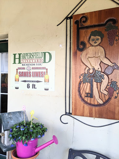 Vineyard «Harpersfield Vineyard», reviews and photos, 6387 OH-307, Geneva, OH 44041, USA