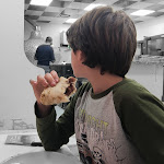 Photo n°1 de l'avis de Marco.i fait le 14/03/2024 à 20:10 sur le  Bella Napoli à Cesano Boscone