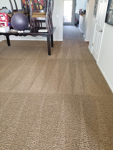 Ortiz Carpet Cleaning