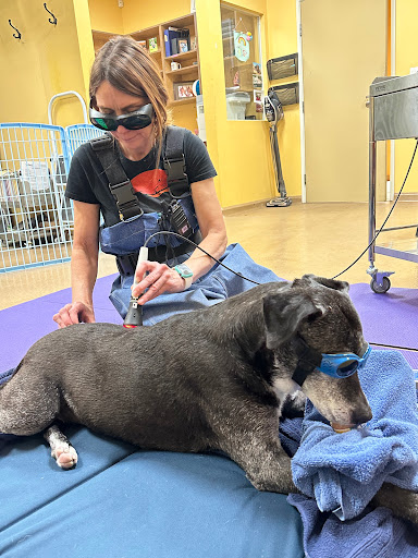 Calabasas Animal Clinic image