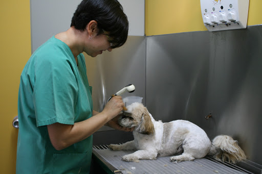 Clínica Veterinaria Morata en Morata de Tajuña