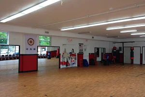 Red Dragon Martial Arts of Waukegan image