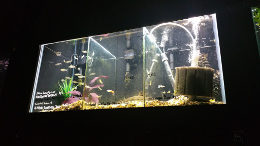 Tropical Fish Store «Fish Finatics», reviews and photos, 7037 Manlius Center Rd, East Syracuse, NY 13057, USA