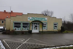 AAVET Veterinary Clinic image