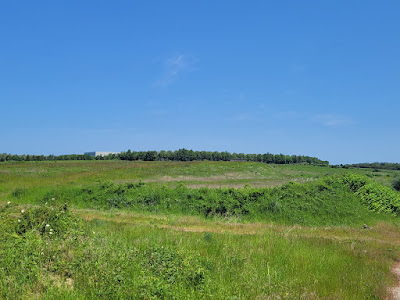 Carrière du Guépelle à Saint-Witz
