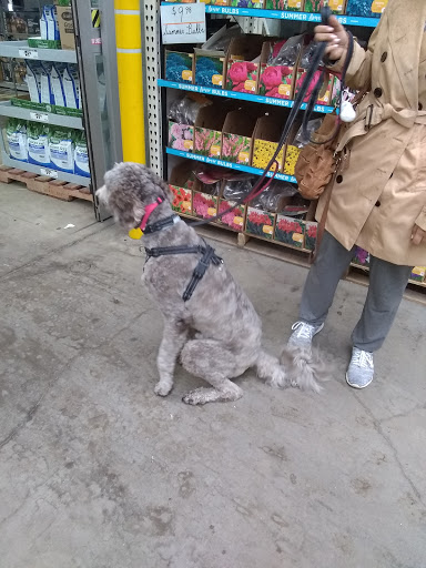 Home Improvement Store «The Home Depot», reviews and photos, 6315 Eastern Ave, Baltimore, MD 21224, USA