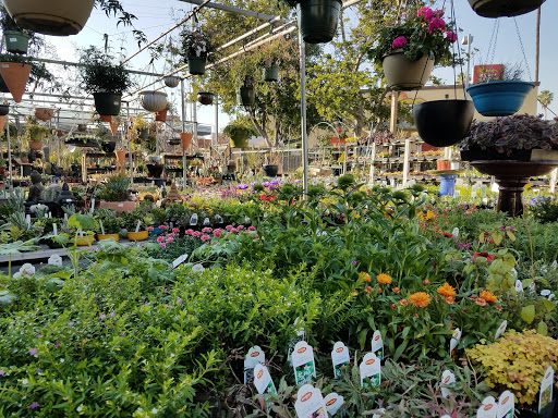 Sunset Boulevard Nursery