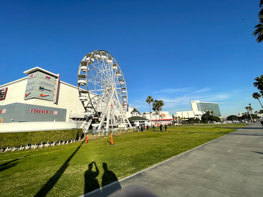 Long Beach Wheel