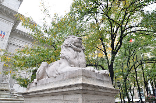 New York Public Library - Stephen A. Schwarzman Building image 10