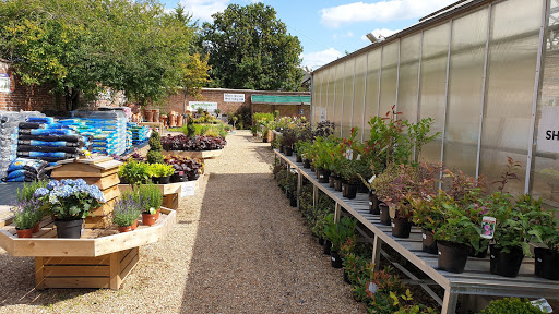 Mayfield Nursery Horticultural Therapy Project