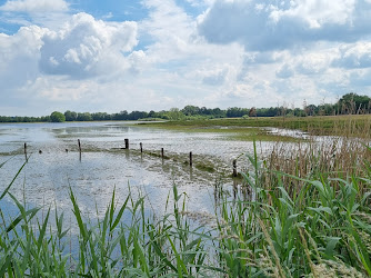 Vogelkijkpunt Beleven