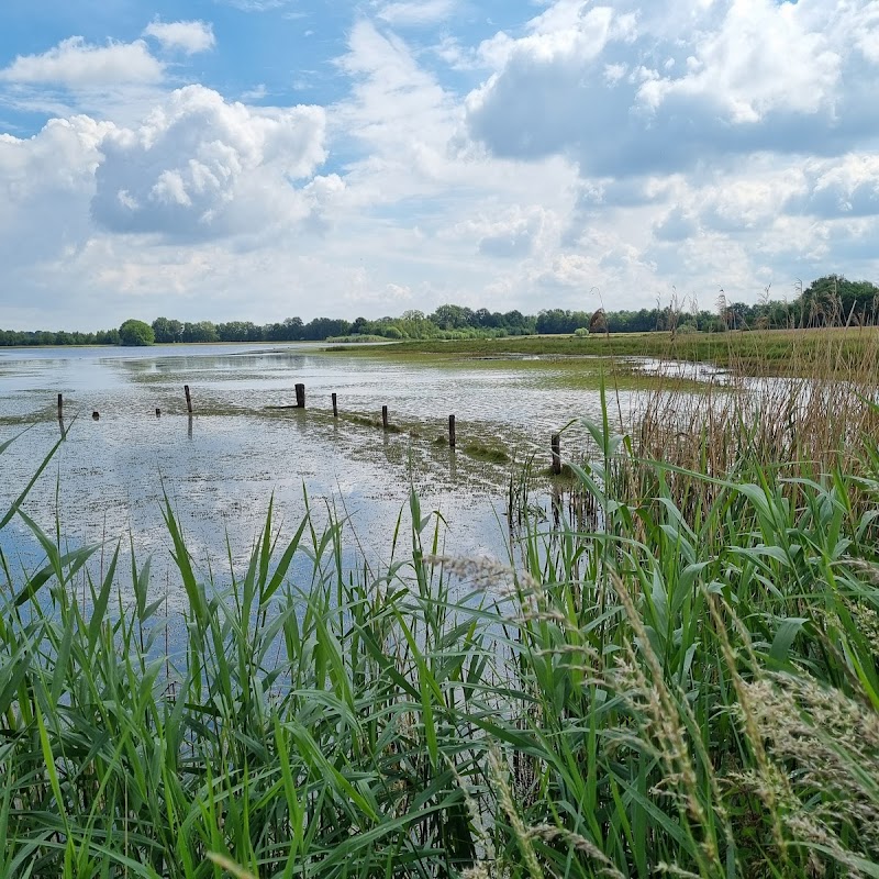 Vogelkijkpunt Beleven