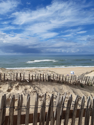 Ecole de surf du Vieux boucau Surf Club à Vieux-Boucau-les-Bains