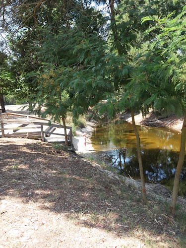 Avaliações doBar do Pará em Ílhavo - Bar