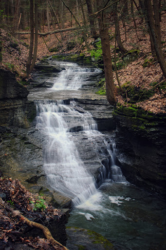 Nature Preserve «Sweedler and Thayer Preserves», reviews and photos, 10 Townline Rd, Ithaca, NY 14850, USA