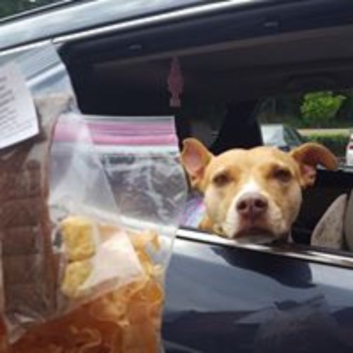 Pet Store «For Healthy Pets!», reviews and photos, 5165 Atlanta Hwy, Montgomery, AL 36109, USA