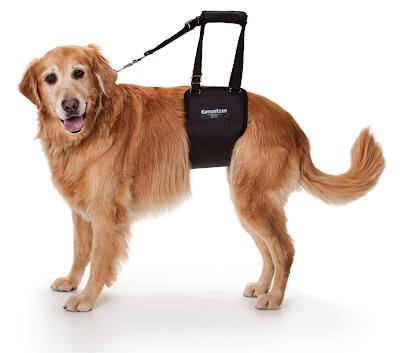 GingerLead Dog Support Sling Harnesses