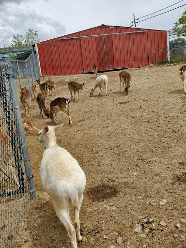 Zoo «Sierra Safari Zoo», reviews and photos, 10200 N Virginia St, Reno, NV 89506, USA