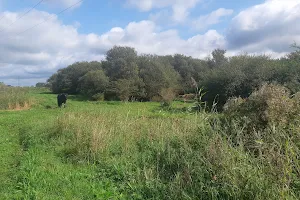 Natuurgebied St. Aagendijk image