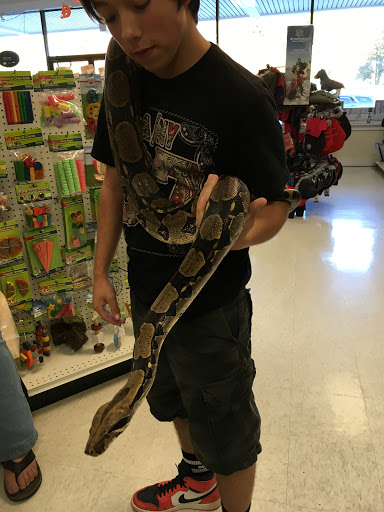 Shopping Mall «Saco Valley Shopping Center», reviews and photos, 4 Scamman St, Saco, ME 04072, USA