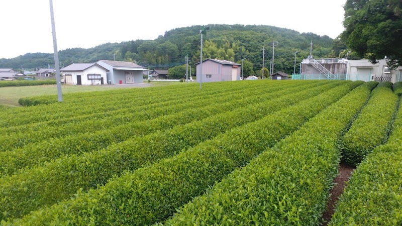 畠中製茶工場