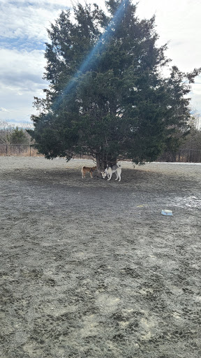 Dog Park «Rock Hill District Park», reviews and photos, 15150 Old Lee Rd, Chantilly, VA 20151, USA