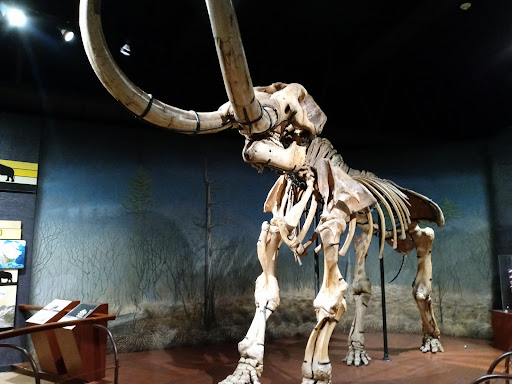 Art Museum «Susquehanna Art Museum», reviews and photos, 1401 N 3rd St, Harrisburg, PA 17102, USA