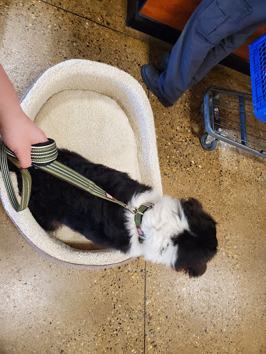 Pet Supply Store «PetSmart», reviews and photos, 3500 IN-38, Lafayette, IN 47905, USA