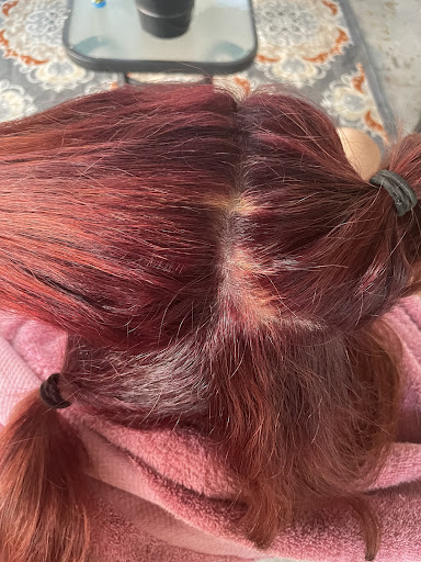 Beauty School «Paul Mitchell The School Tampa», reviews and photos, 7823 Citrus Park Town Center Mall, Tampa, FL 33625, USA