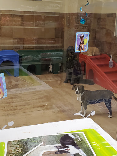 Pet Supply Store «PetSmart», reviews and photos, 358 Broadway, Saugus, MA 01906, USA