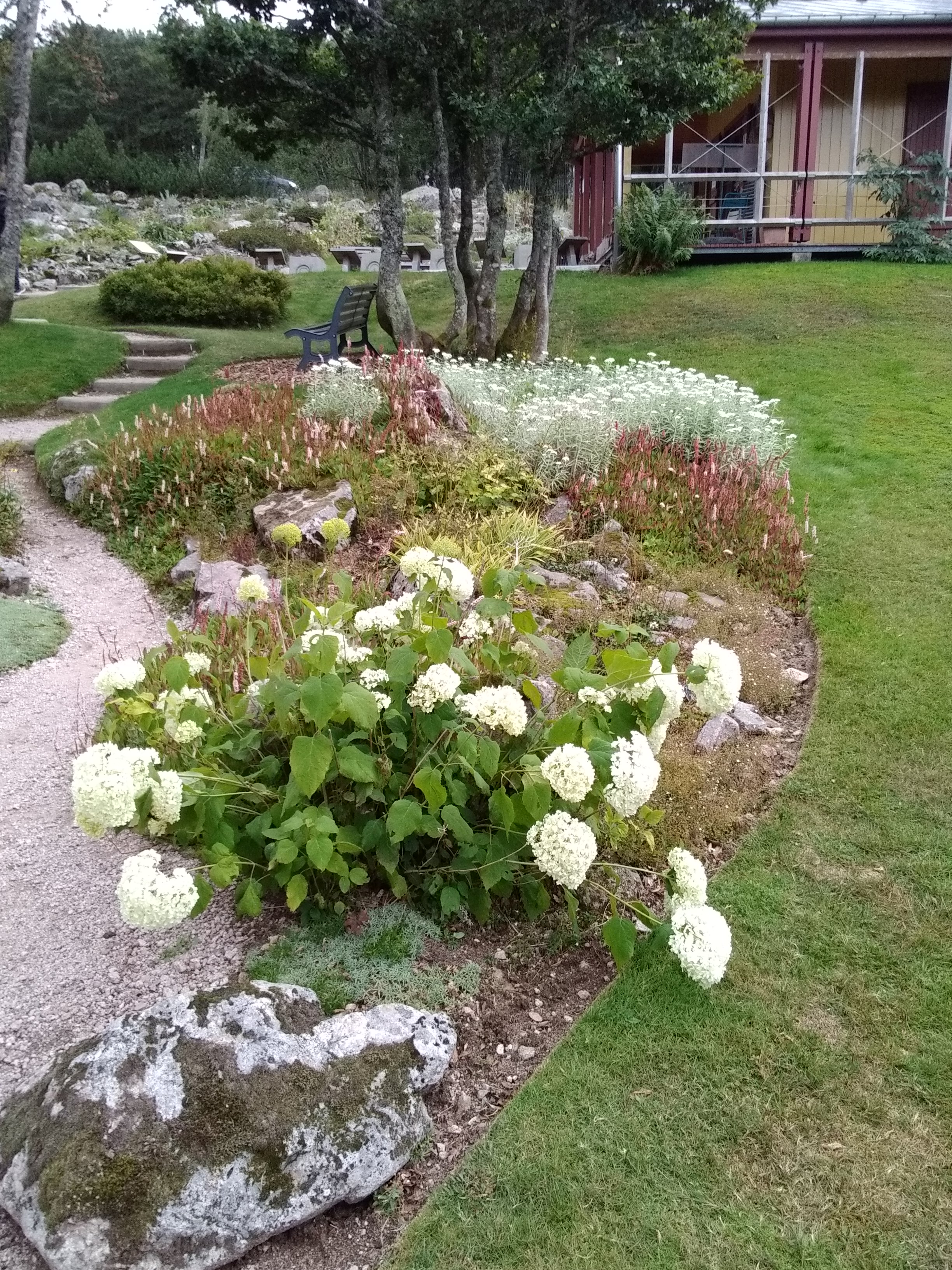 Photo n° 3 de l'avis de Christian.i fait le 29/08/2020 à 18:44