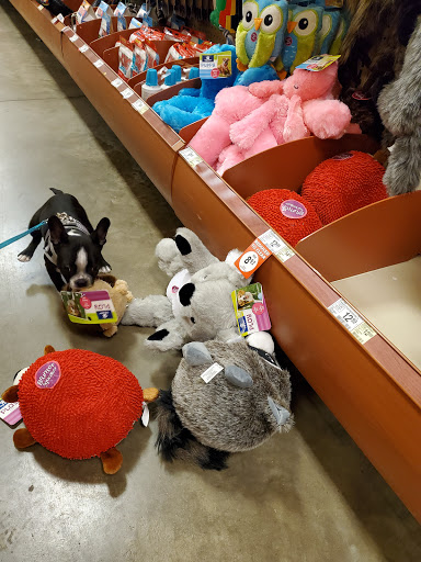 Pet Supply Store «PetSmart», reviews and photos, 8111 Brier Creek Pkwy, Raleigh, NC 27617, USA
