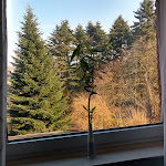 Photo n°1 de l'avis de Inge.i fait le 24/02/2018 à 22:16 sur le  Van Lendt à Dülmen