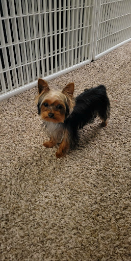 Pet Supply Store «Petco Animal Supplies», reviews and photos, 200 Center Blvd S, Christiana, DE 19702, USA