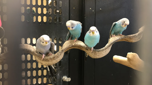 Pet Supply Store «PetSmart», reviews and photos, 1203 N Landing Way, Renton, WA 98057, USA