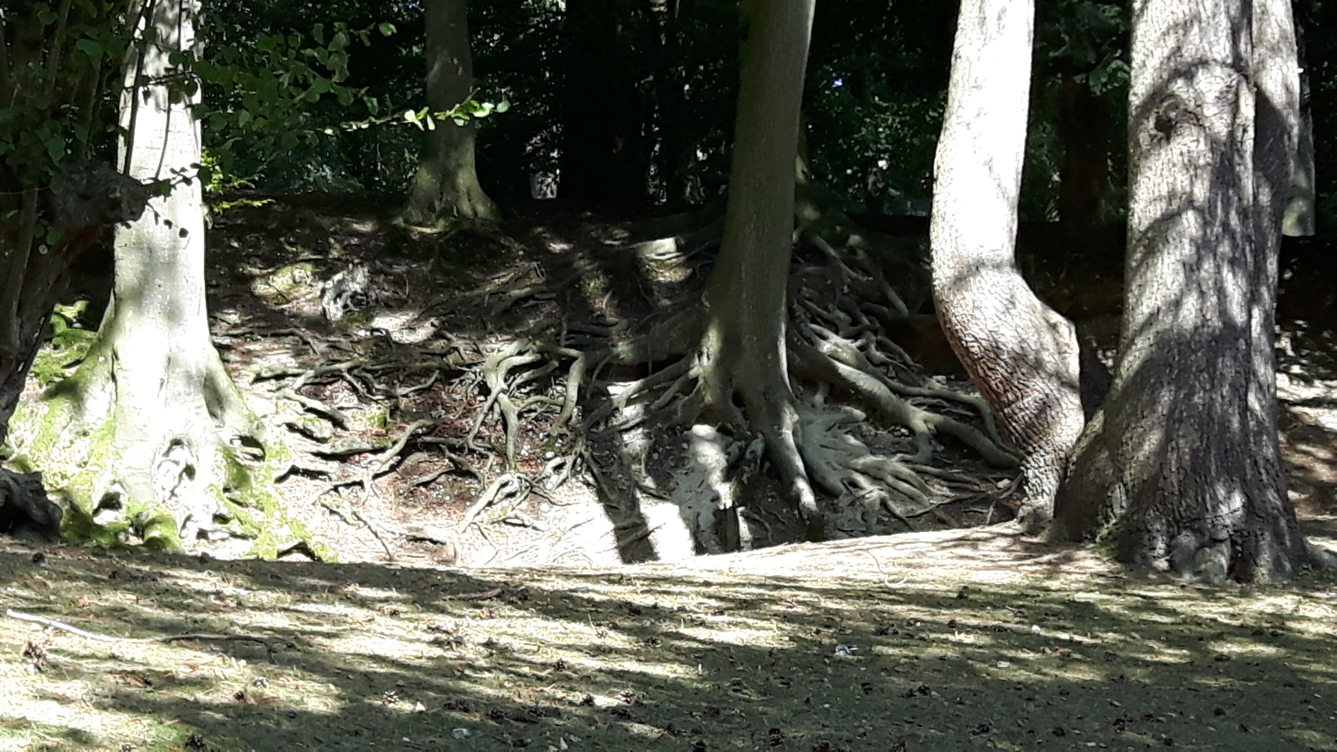 Photo n° 11 de l'avis de jonathan.r fait le 21/09/2019 à 14:34