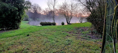 Ruisseau de Chizé à Chemillé-en-Anjou