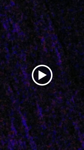 Performing Arts Theater «Milton Theatre», reviews and photos, 110 Union St, Milton, DE 19968, USA