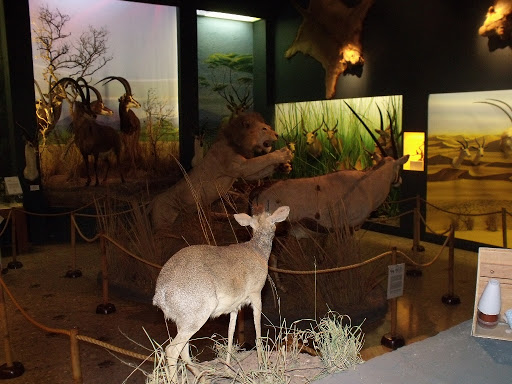 Museo de Caza Albarran