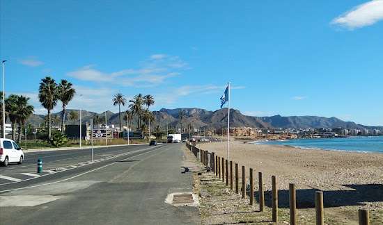 Playa del Alamillo