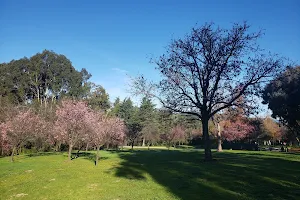 Peter F. Schabarum Regional Park image