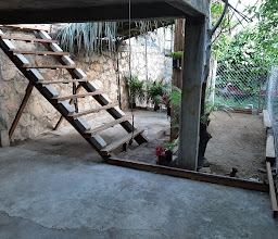 Restaurante Iconos photo